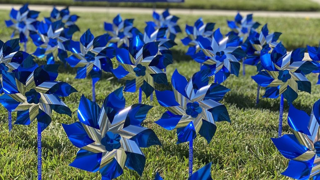 Row of blue and silver pinwheels planted in a grassy field on a sunny day.